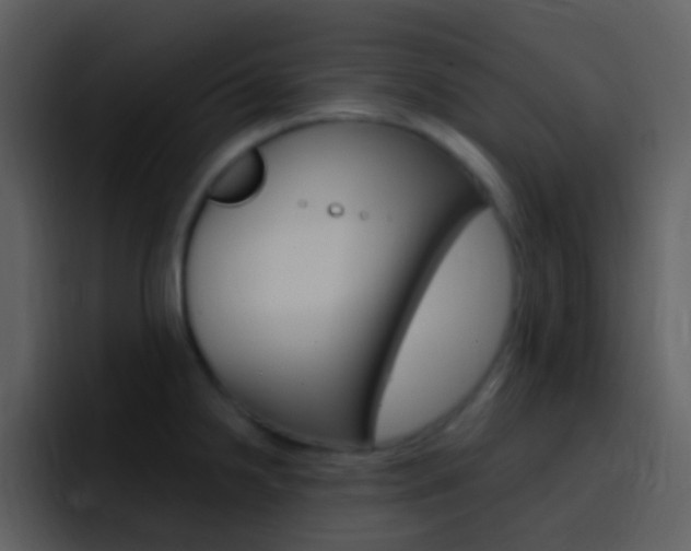 X0000096991238200802080913