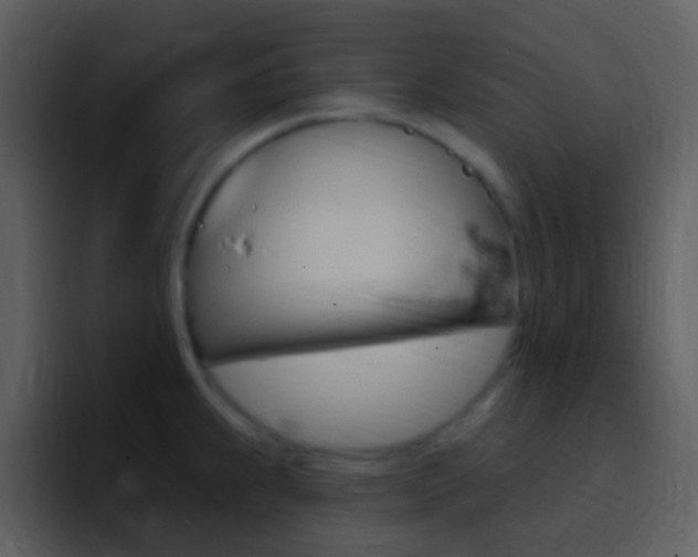 X0000096991239200802080913