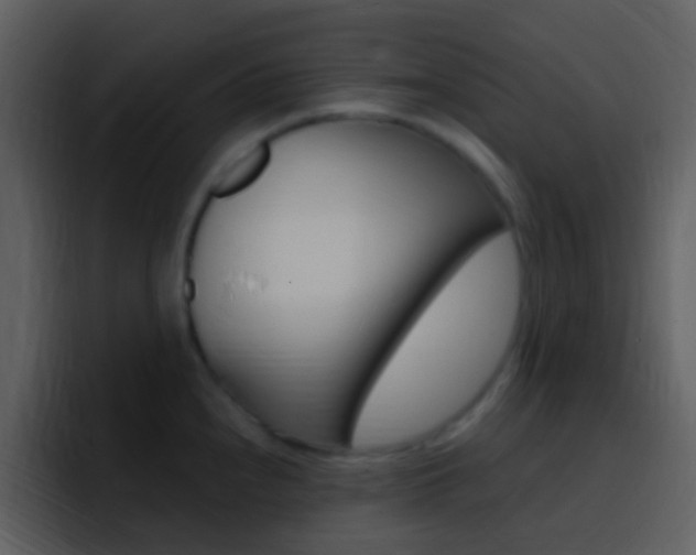X0000096991240200802080913
