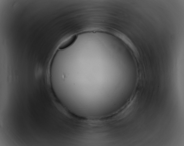 X0000096991242200802080913