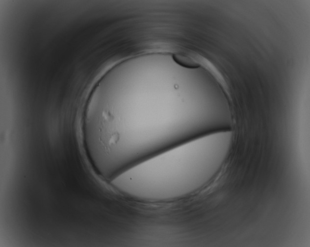 X0000096991243200802080913