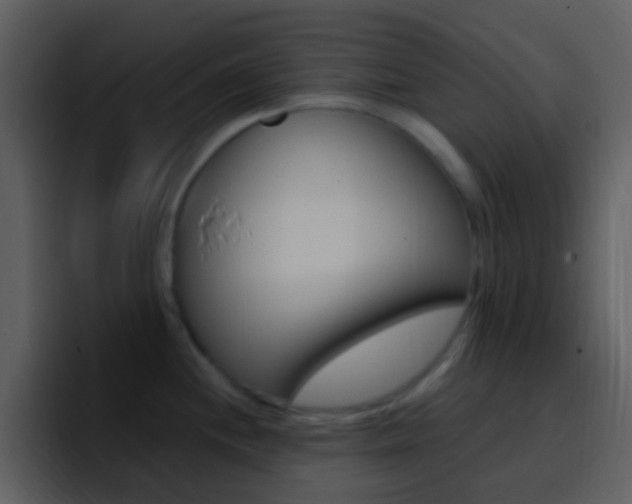 X0000096991244200802080913