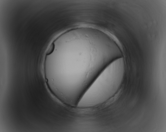 X0000096991247200802080913