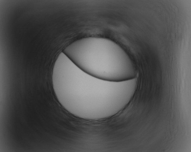X0000096991251200802080912
