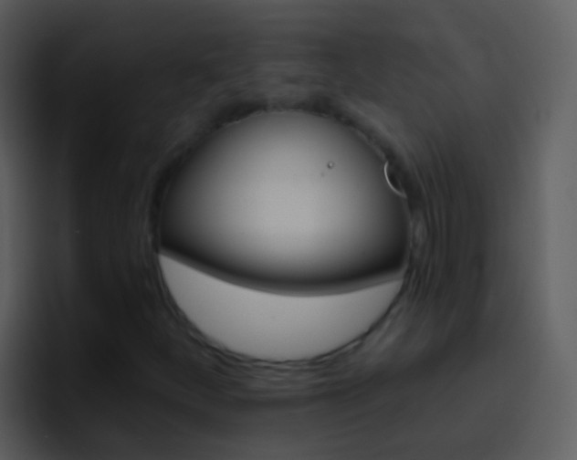 X0000096991252200802080912