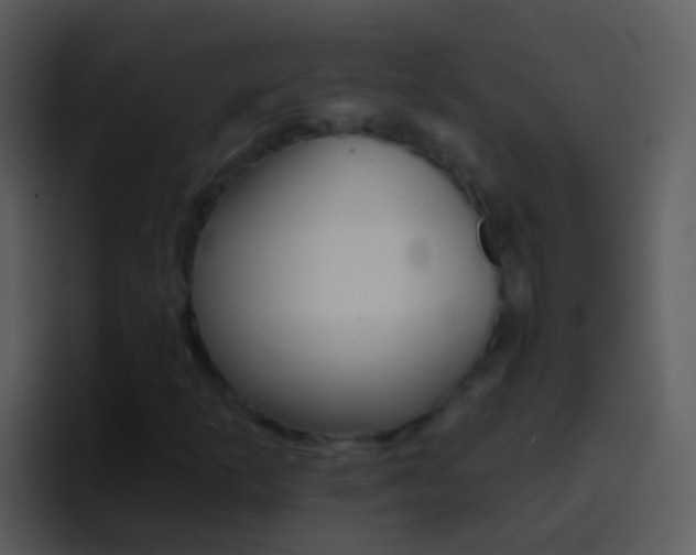 X0000096991253200802080912