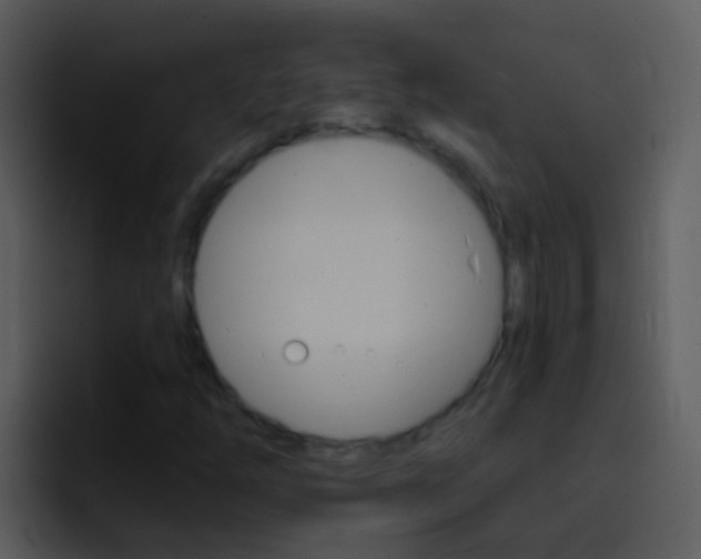 X0000096991254200802080912