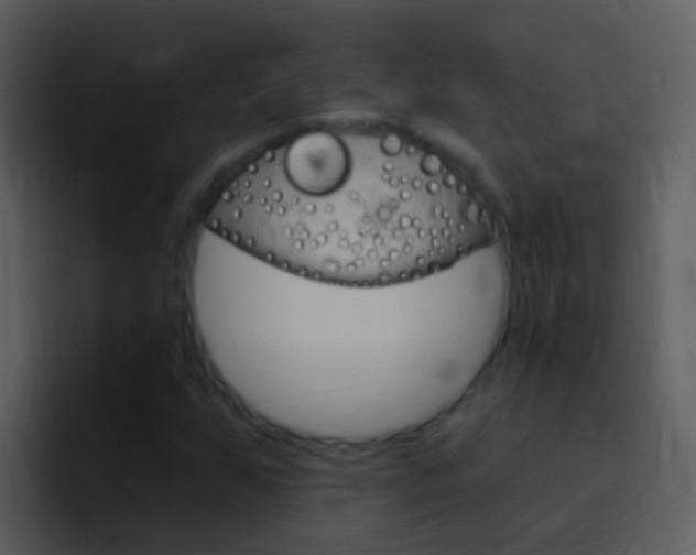 X0000096991255200802080912
