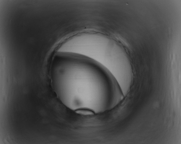 X0000096991256200802080912