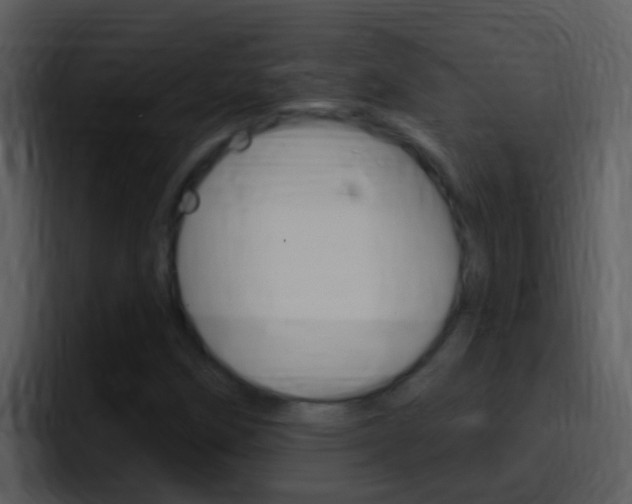 X0000096991258200802080912