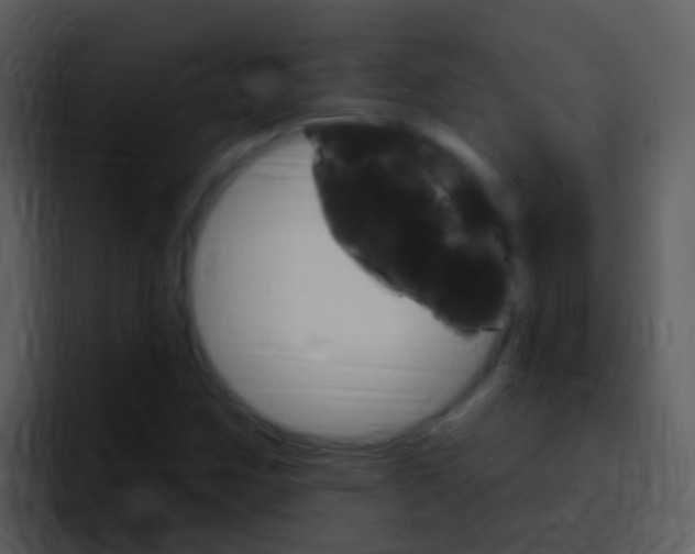 X0000096991259200802080912