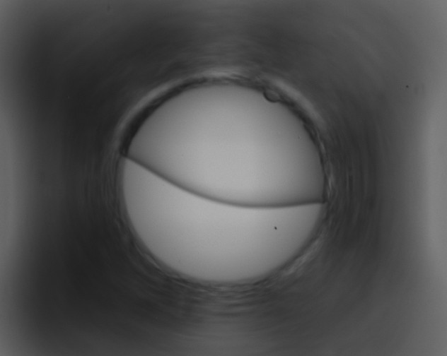 X0000096991262200802080912
