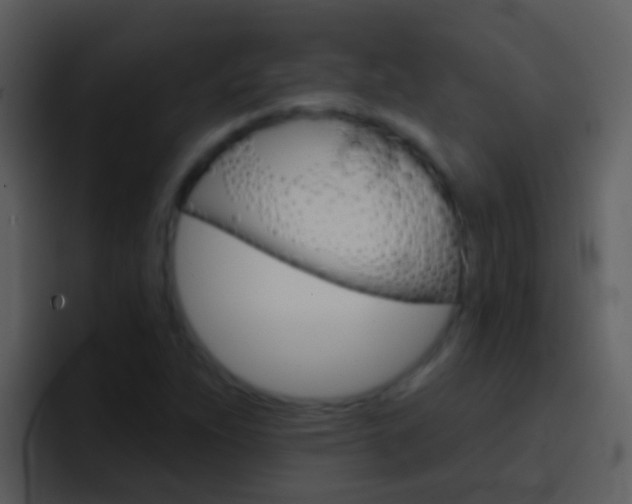 X0000096991263200802080912