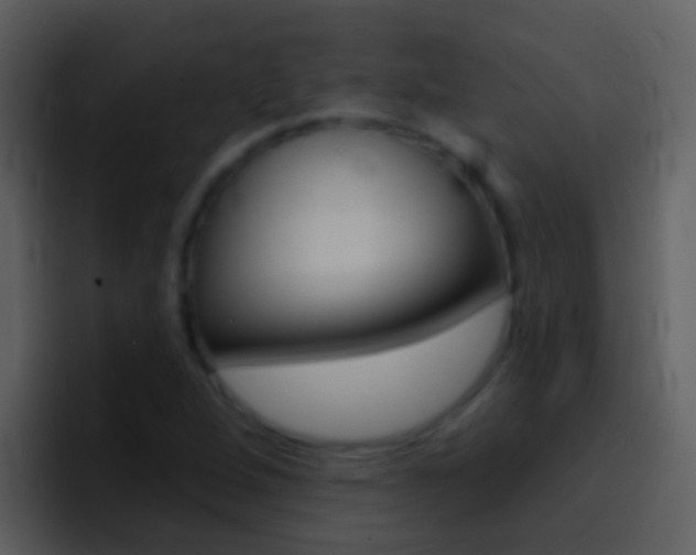 X0000096991264200802080912