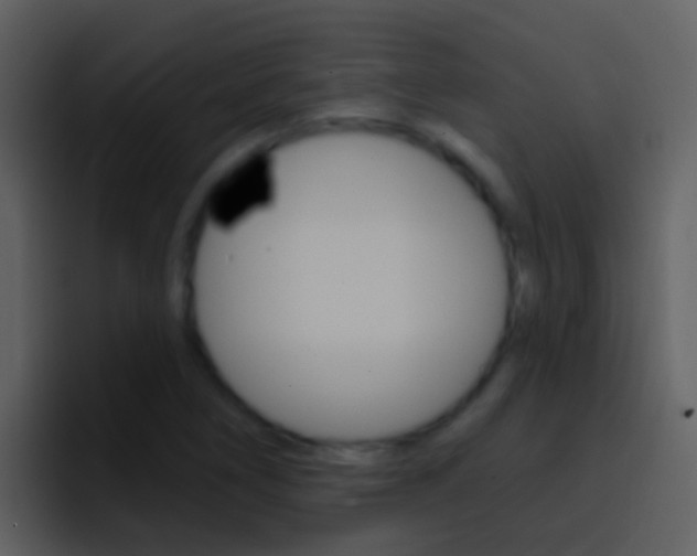 X0000096991266200802080912