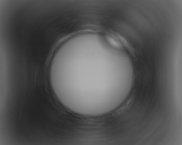 X0000096991267200802080912