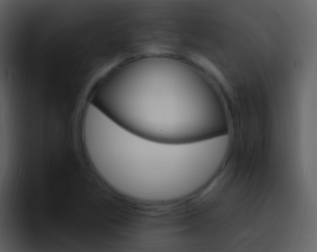 X0000096991269200802080912