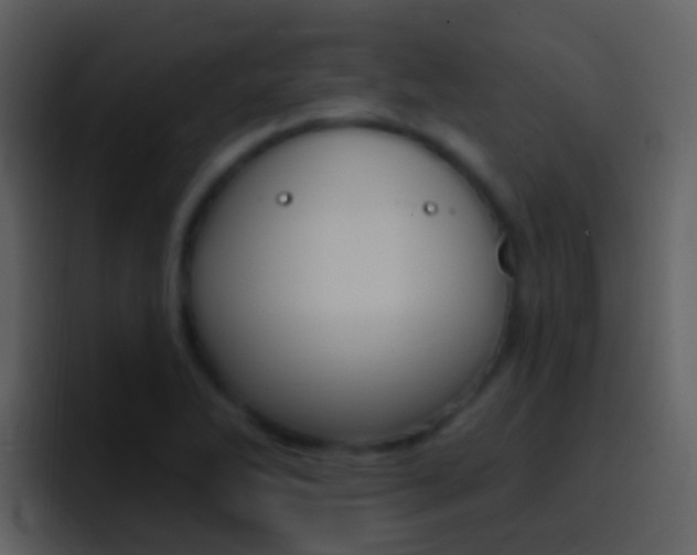X0000096991270200802080912