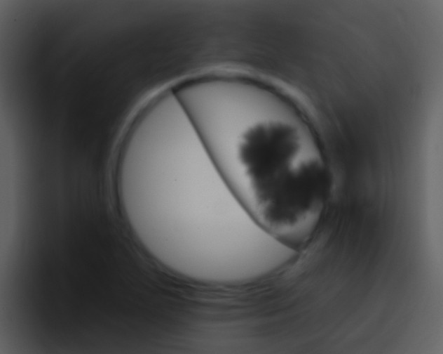 X0000096991271200802080912