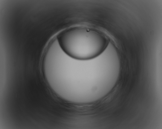 X0000096991272200802080912