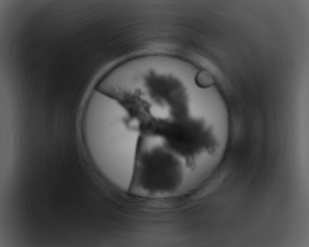 X0000096991275200802080912