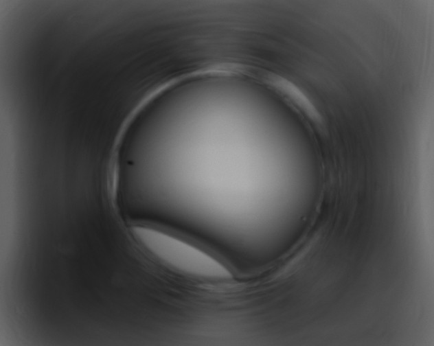 X0000096991276200802080912