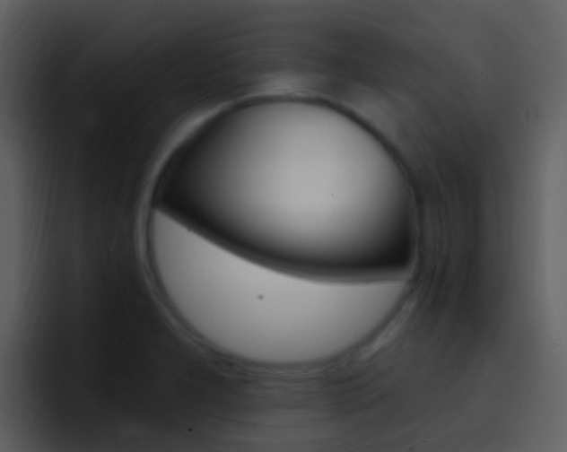 X0000096991277200802080912