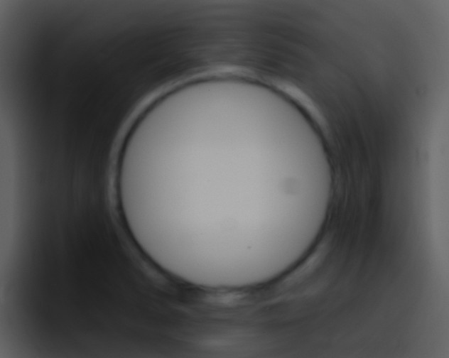 X0000096991278200802080912