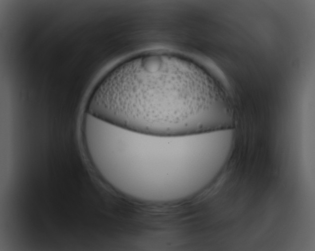 X0000096991279200802080912
