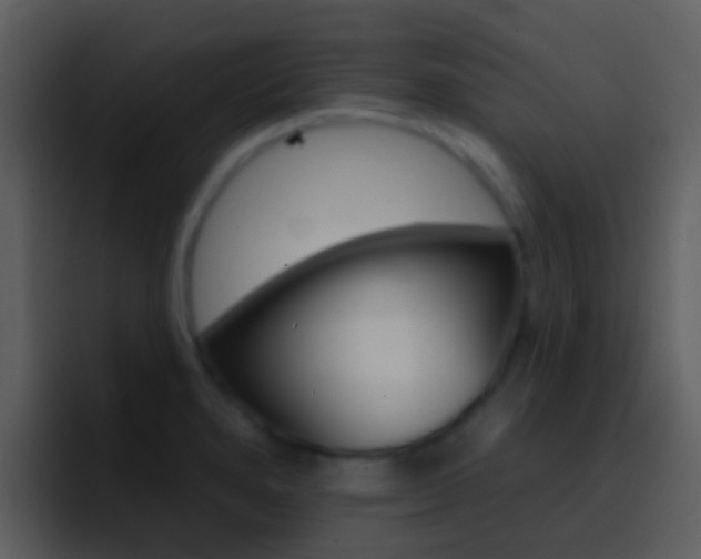 X0000096991280200802080912