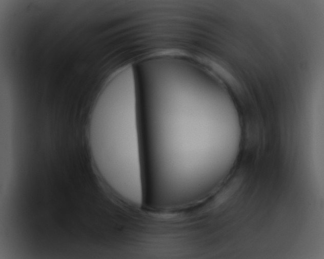 X0000096991281200802080912