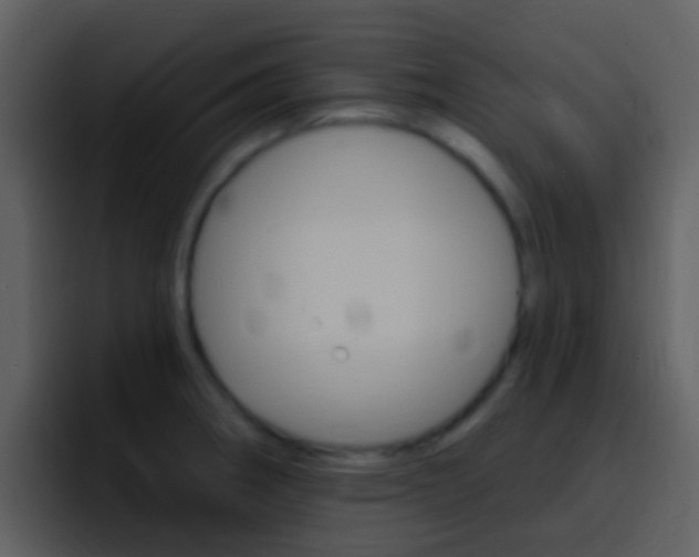 X0000096991282200802080912