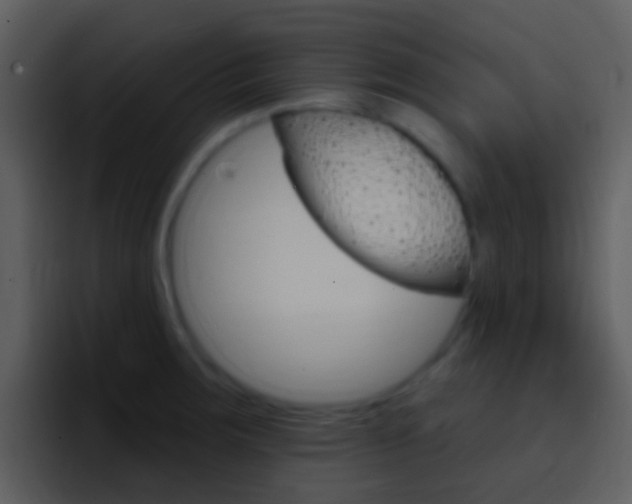 X0000096991283200802080912