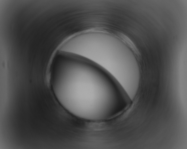 X0000096991284200802080912
