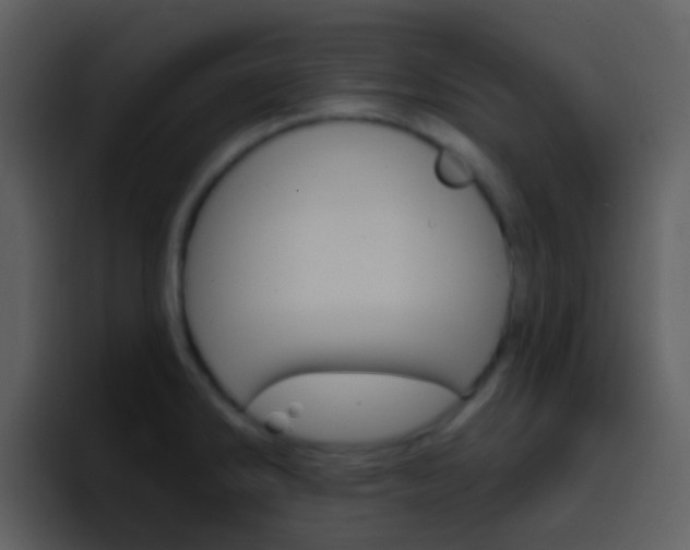X0000096991286200802080912