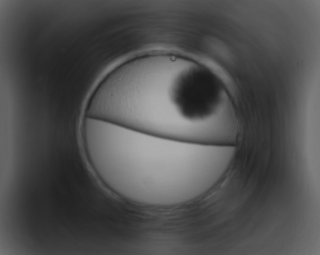 X0000096991287200802080912
