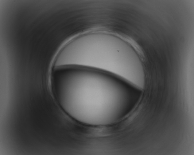 X0000096991288200802080912