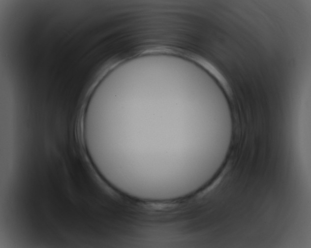 X0000096991290200802080912