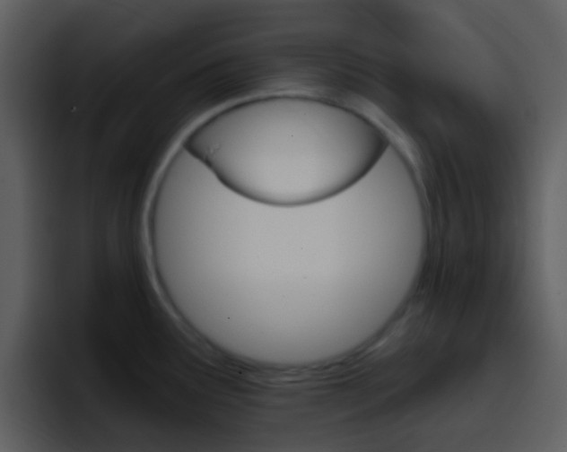 X0000096991291200802080912