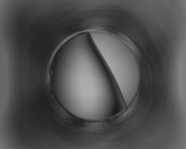 X0000096991292200802080912