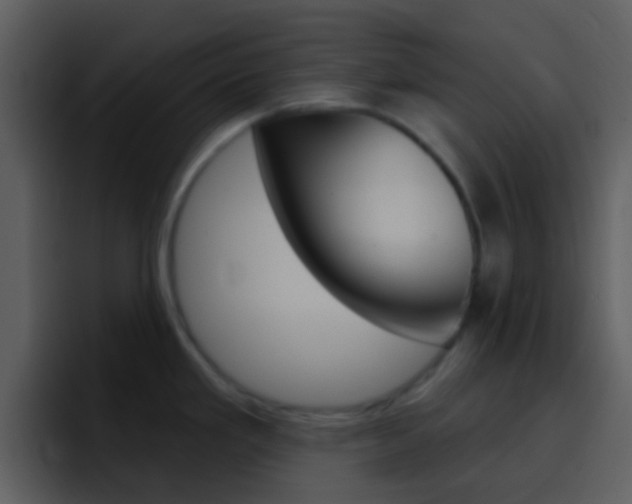 X0000096991293200802080912