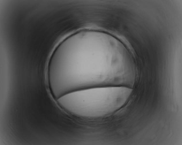 X0000096991295200802080912