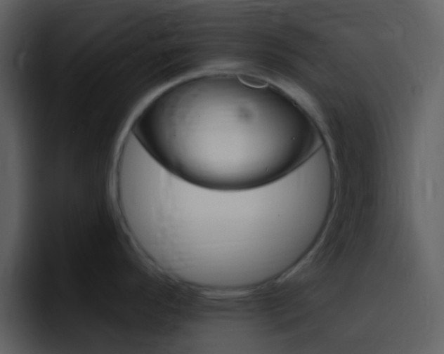 X0000096991296200802080912