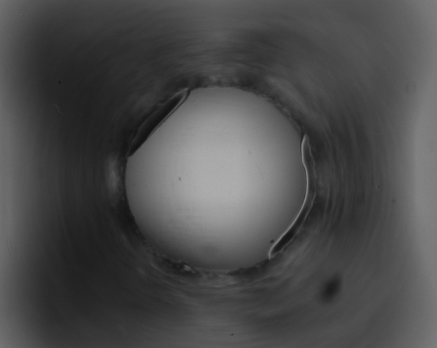 X0000096991298200802080911