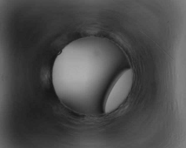 X0000096991299200802080911