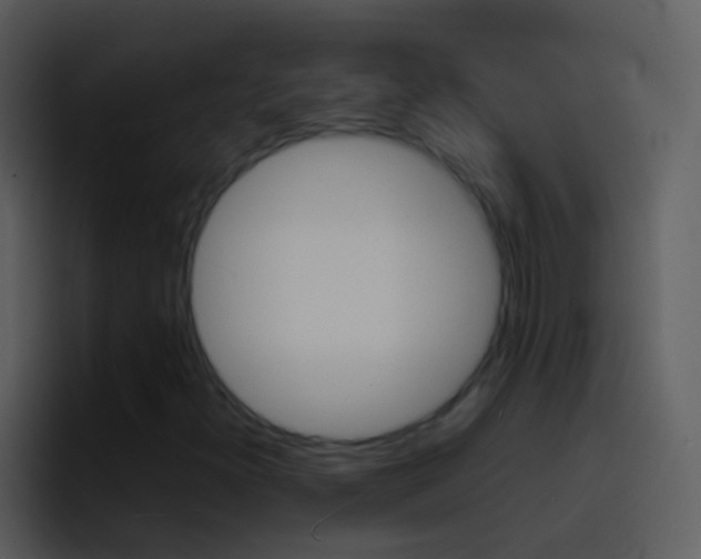 X0000096991300200802080911