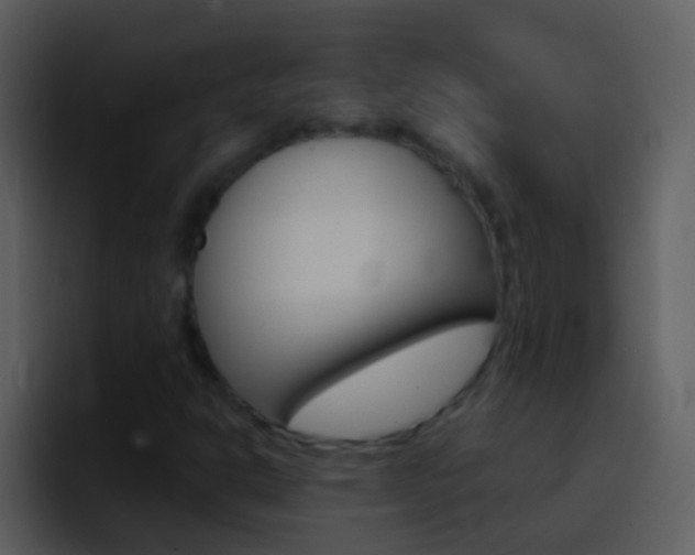 X0000096991302200802080911