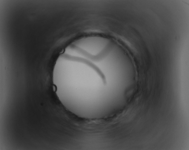 X0000096991303200802080911