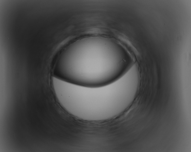 X0000096991304200802080911