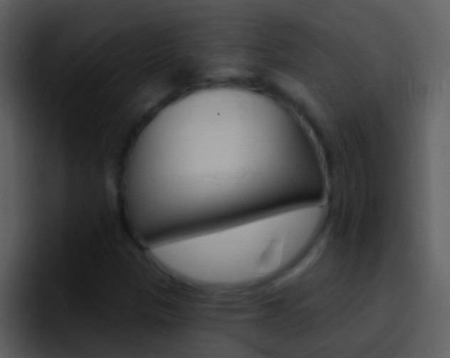 X0000096991305200802080911